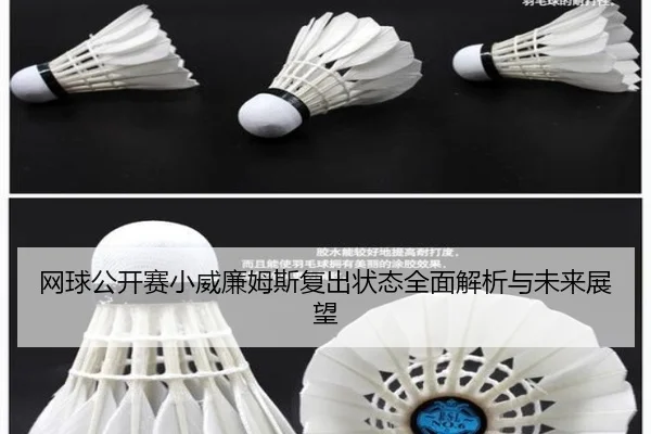 网球公开赛小威廉姆斯复出状态全面解析与未来展望